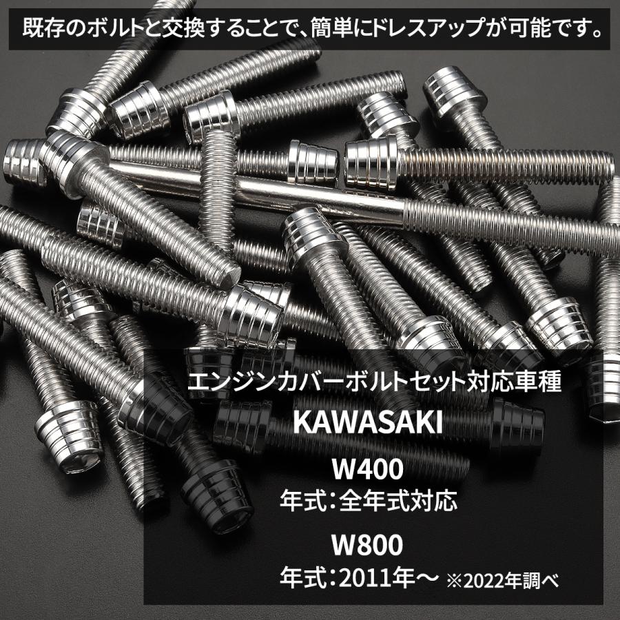 カワサキ W400 W800 エンジンカバー クランクケース ボルト 30本
