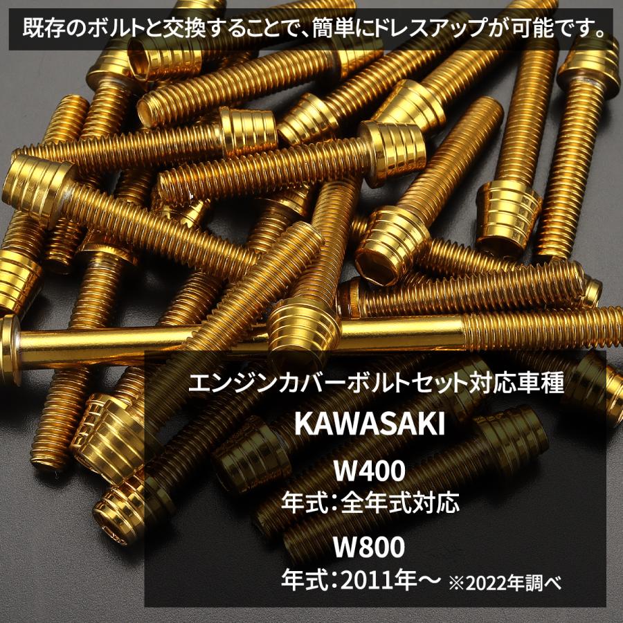 TECHーMASTER（テックマスター） W400 W800 エンジンカバー クランク