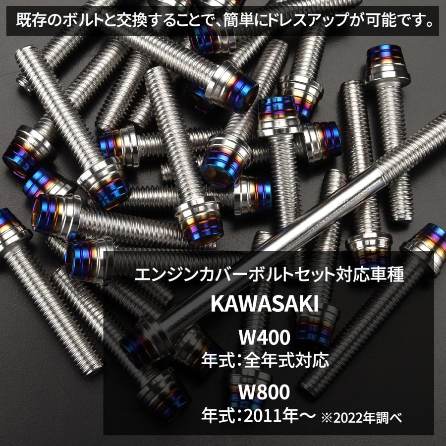 TECHーMASTER（テックマスター） W400 W800 エンジンカバー クランク