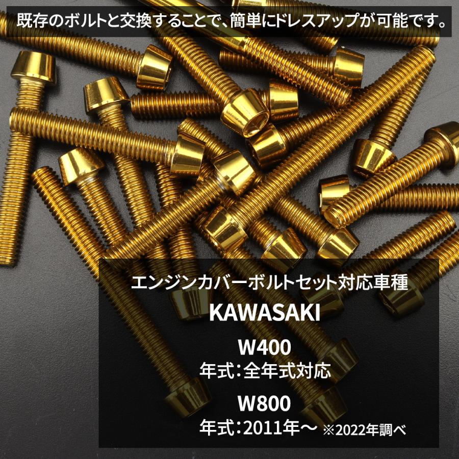 TECHーMASTER（テックマスター） W400 W800 エンジンカバー クランク
