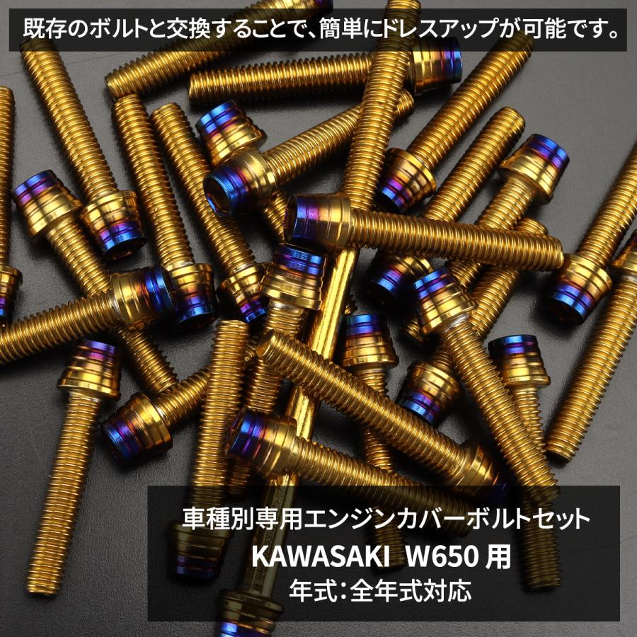 TECHーMASTER（テックマスター） W650 エンジンカバー クランクケース