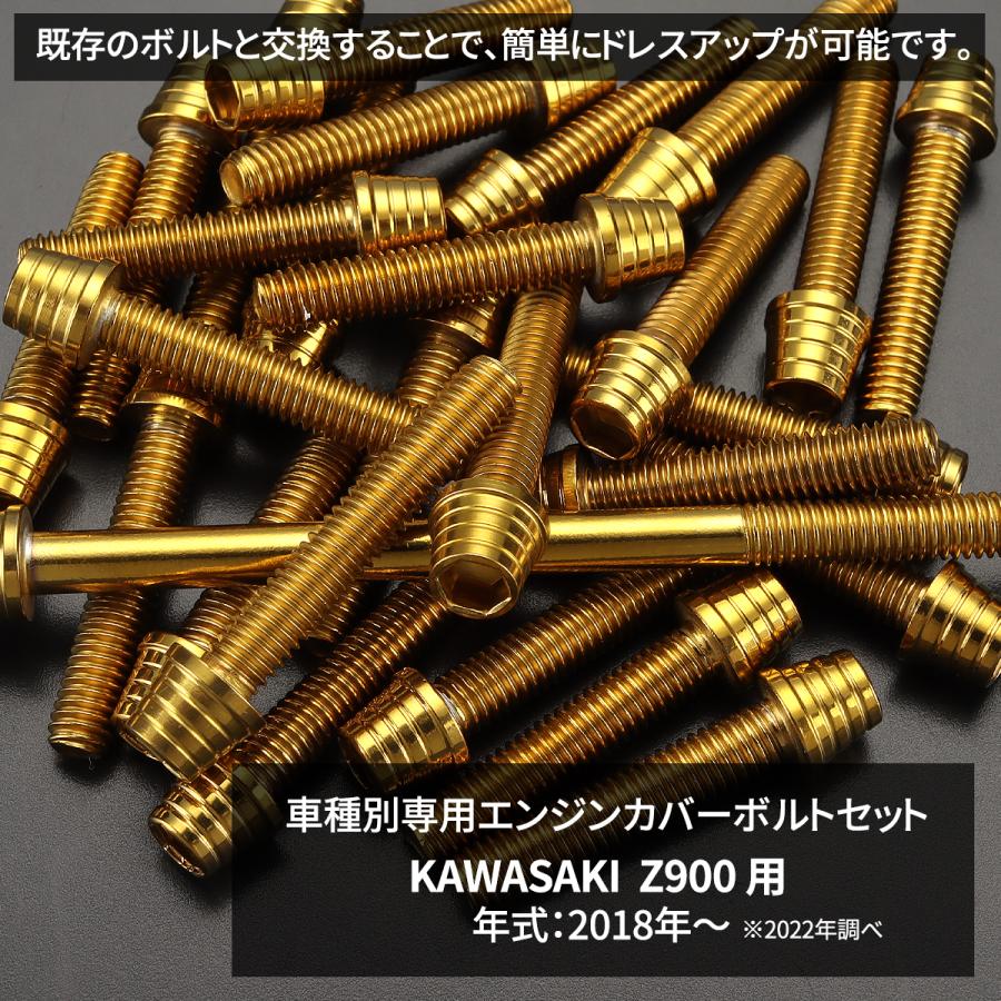 TECHーMASTER（テックマスター） Z900 2018年〜 エンジンカバー