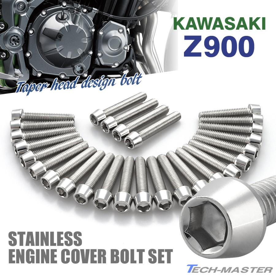 TECHーMASTER（テックマスター） Z900 2018年〜 エンジンカバー