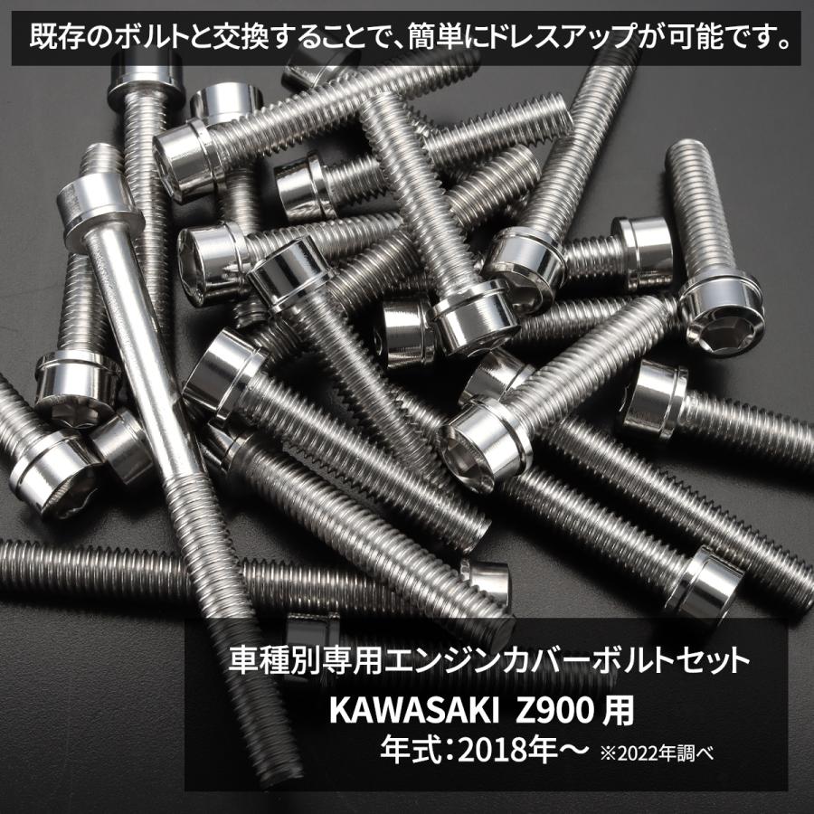 ののさん専用 TECHーMASTER（テックマスター） Z900 2018年〜 エンジンカバー
