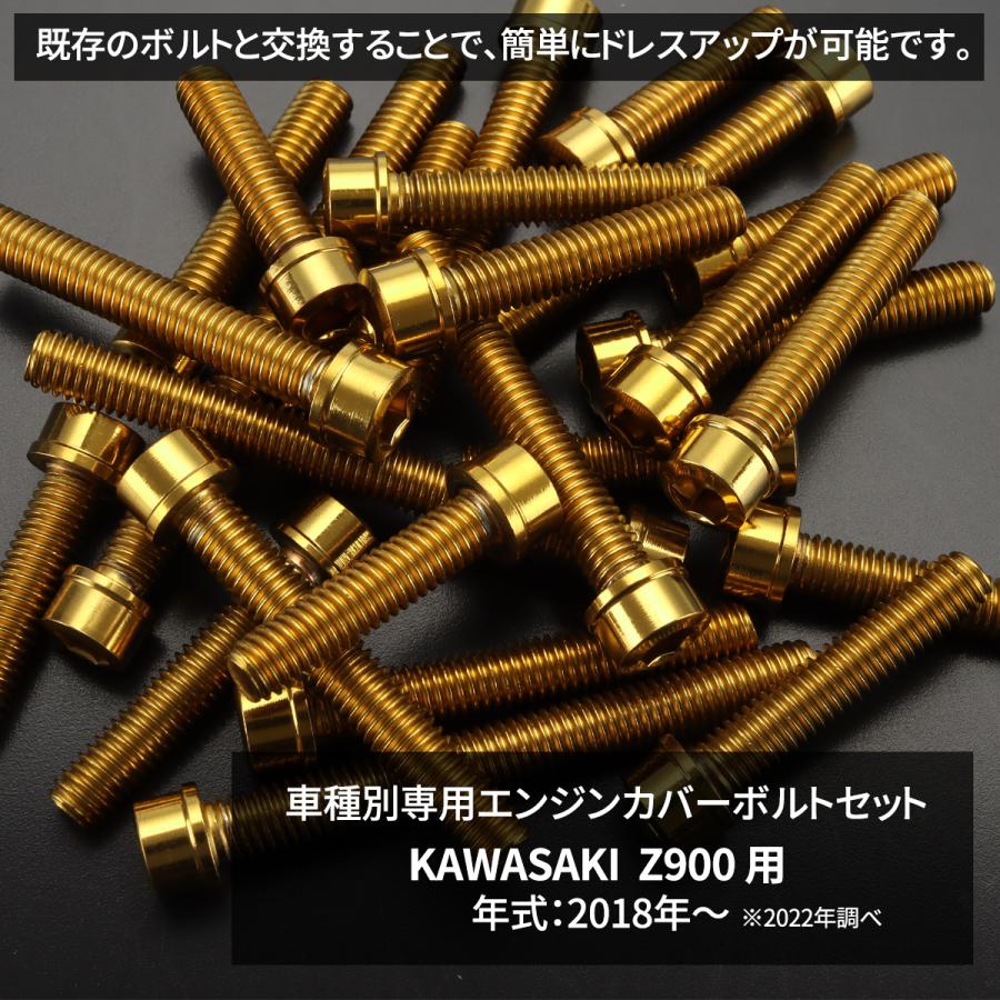 カワサキ Z900 2018年〜 エンジンカバー クランクケース ボルト