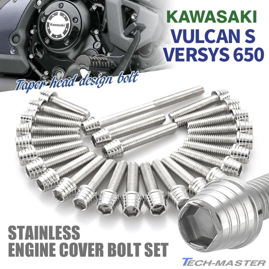 ザンジページ TECHーMASTER バルカンS ヴェルシス650 エンジンカバー クランクケース