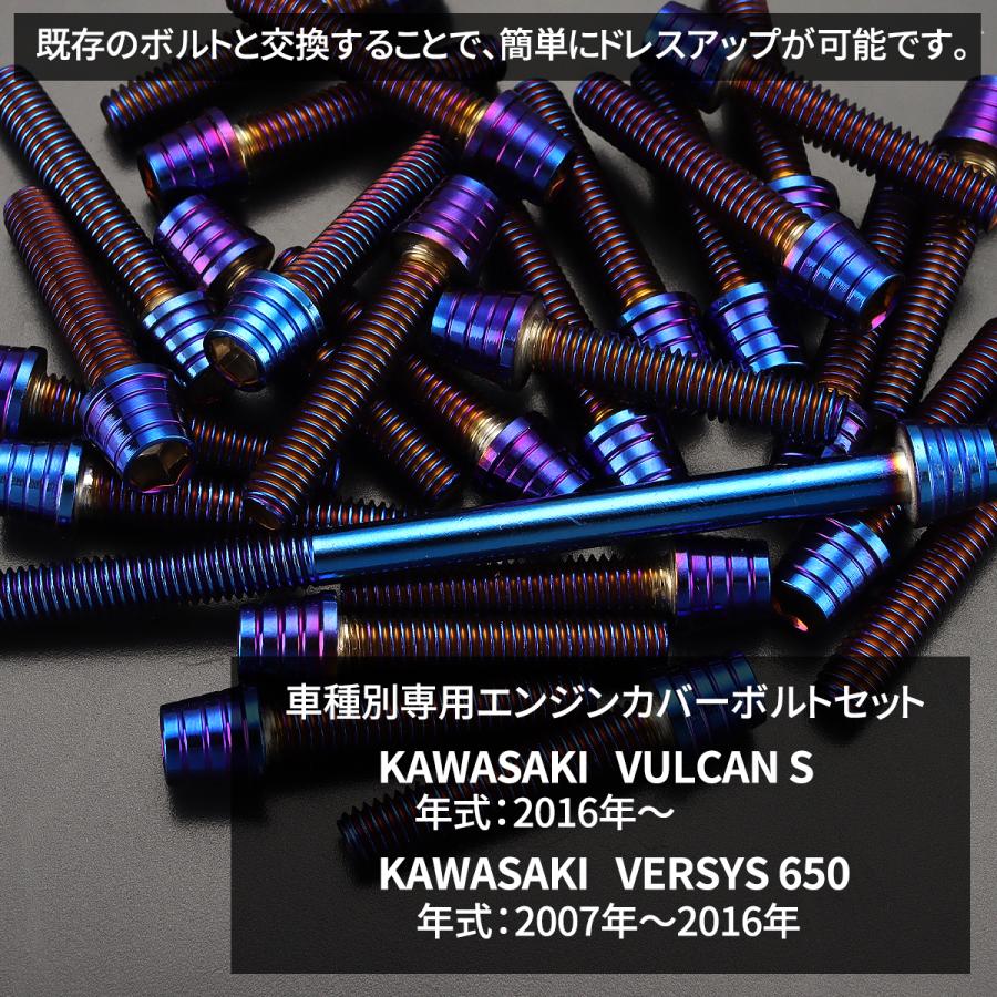 カワサキ バルカンS ヴェルシス650 エンジンカバー クランク