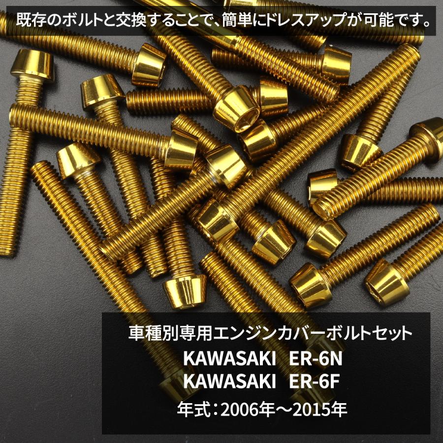 専用ページです！ TECHーMASTER（テックマスター） ER-6N ER-6F 06年〜15年 エンジン