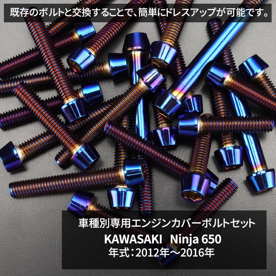 カワサキ ニンジャ650 12年〜16年 Ninja エンジンカバー クランク