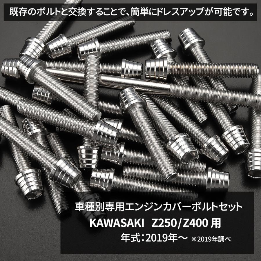 切銀 カワサキ Z250/400 2019年〜 エンジンカバー クランクケース