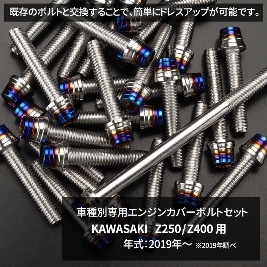 カワサキ Z250/400 2019年〜 エンジンカバー クランクケース