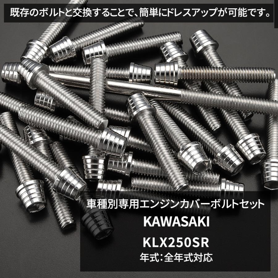 KLX250SR エンジンカバー クランクケース ボルト 30本セット ステンレス製 カワサキ車用 シルバーカラー TB8701 | TECHーMASTER | 01