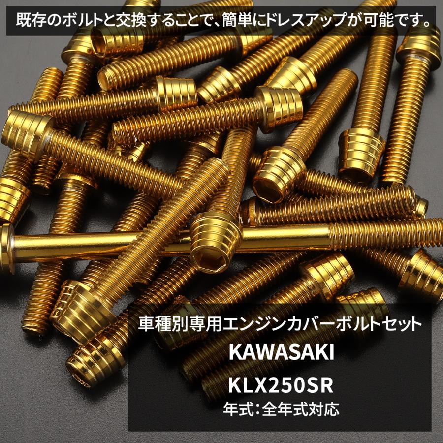 KLX250SR エンジンカバー クランクケース ボルト 30本セット ステンレス製 カワサキ車用 ゴールドカラー TB8702 | TECHーMASTER | 01