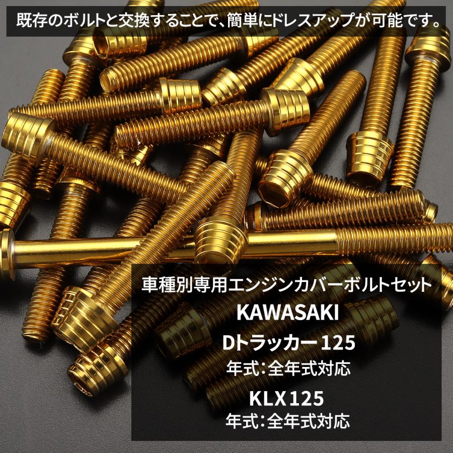 Dトラッカー125 KLX125 エンジンカバー クランクケース ボルト 28本セット ステンレス製 カワサキ車用 ゴールドカラー TB8727 | TECHーMASTER | 01