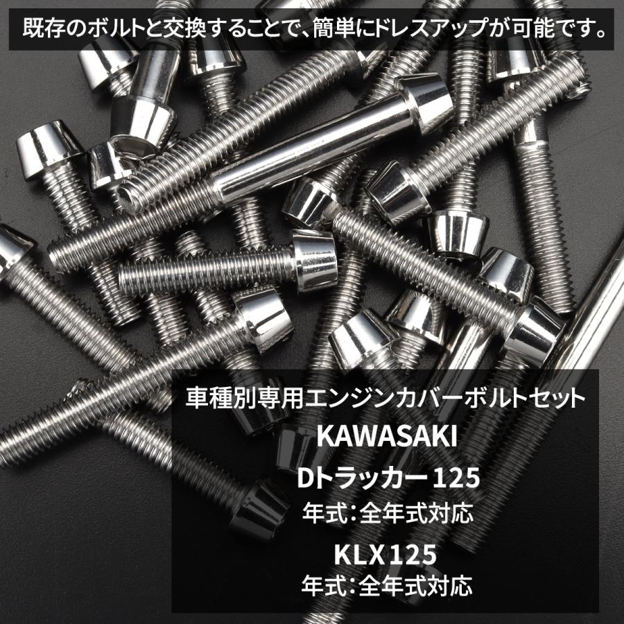 Dトラッカー125 KLX125 エンジンカバー クランクケース ボルト 28本セット ステンレス製 カワサキ車用 シルバーカラー TB8733 | TECHーMASTER | 01