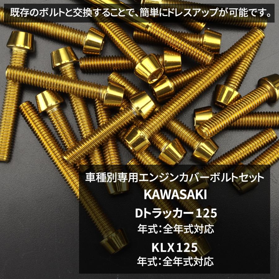 カワサキ Dトラッカー125 KLX125 エンジンカバー クランクケース