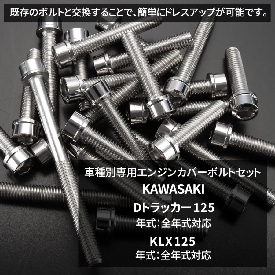 カワサキ Dトラッカー125 KLX125 エンジンカバー クランクケース
