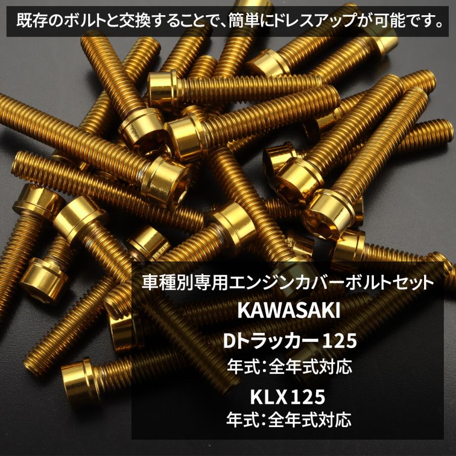 Dトラッカー125 KLX125 エンジンカバー クランクケース ボルト 28本セット ステンレス製 カワサキ車用 ゴールドカラー TB8737 | TECHーMASTER | 01