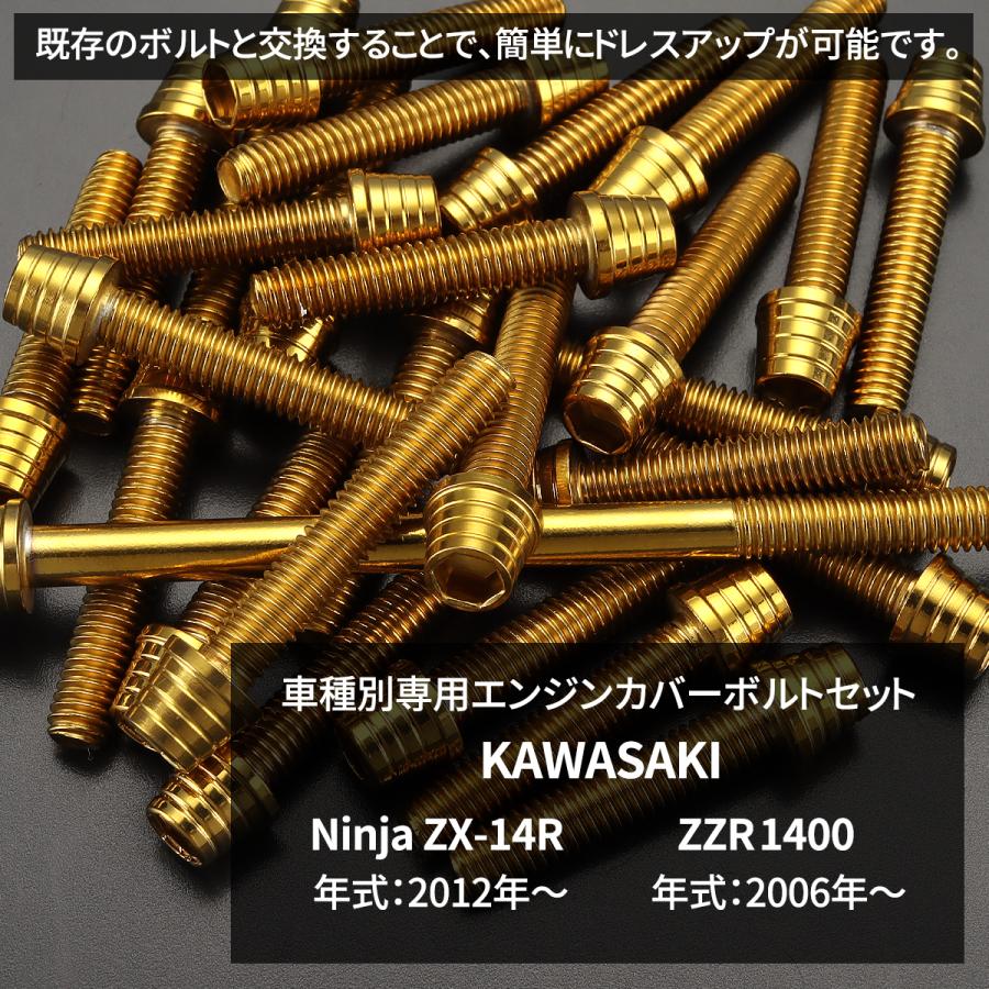 【Gene8104全14種セット】 エンジンカバー ボルトセット ニンジャ ZX-14R ZZR1400 29本