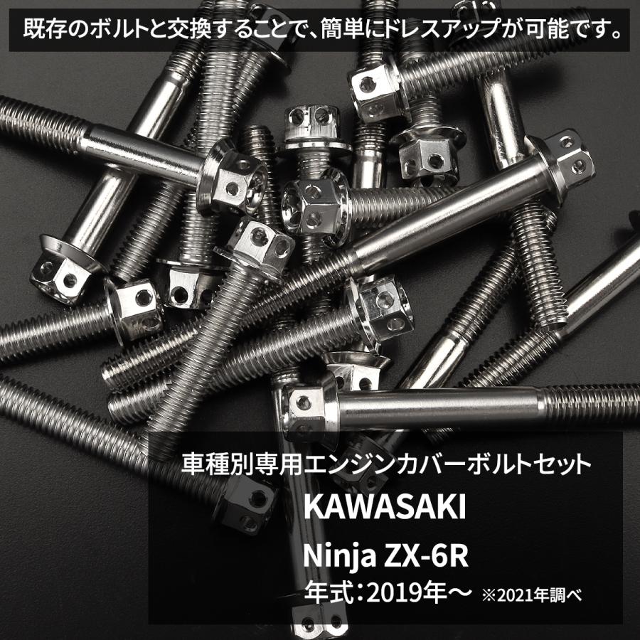 TECHーMASTER（テックマスター） ニンジャ ZX-6R Ninja エンジンカバー