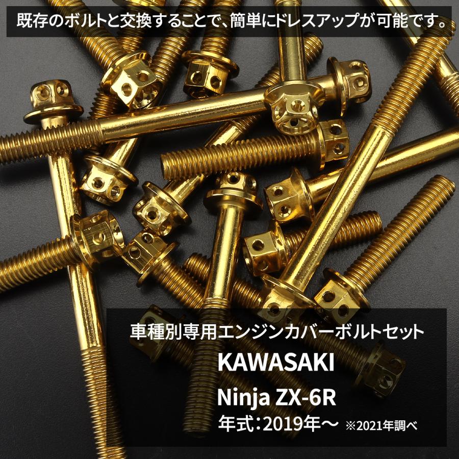 専用 ニンジャ ZX-6R Ninja エンジンカバー クランクケース ボルト 36本