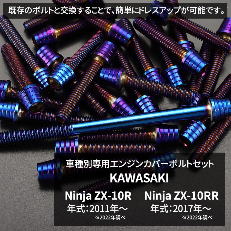 カワサキ ニンジャ ZX-10R/RR Ninja エンジンカバー クランク カワサキ ニンジャ ZX-10R/RR Ninja エンジンカバー クランク