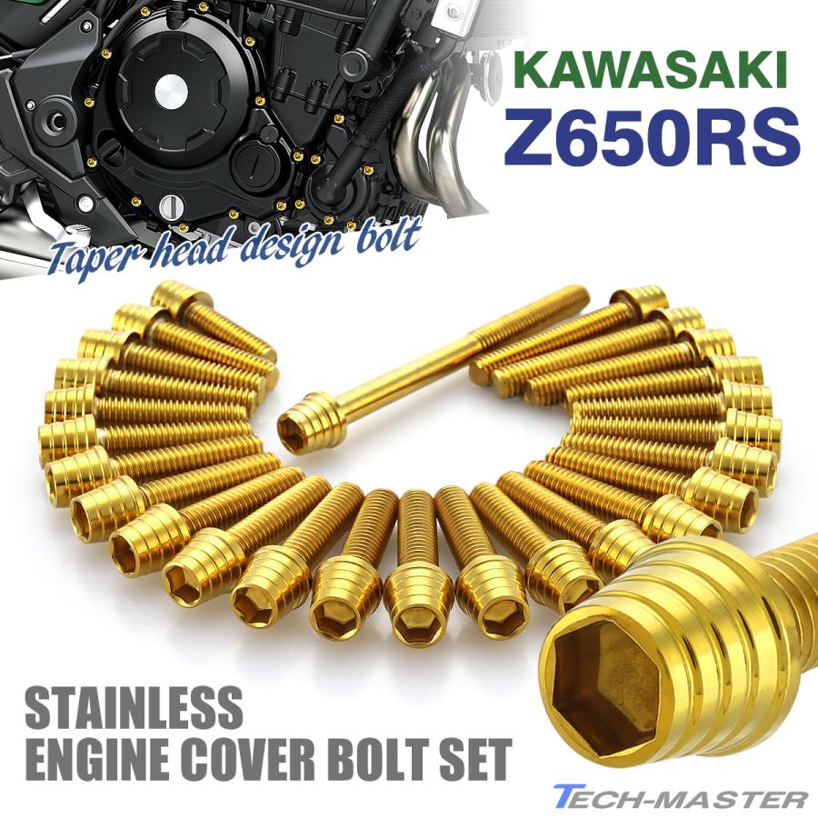 TECHーMASTER（テックマスター） Z650RS エンジンカバー クランク