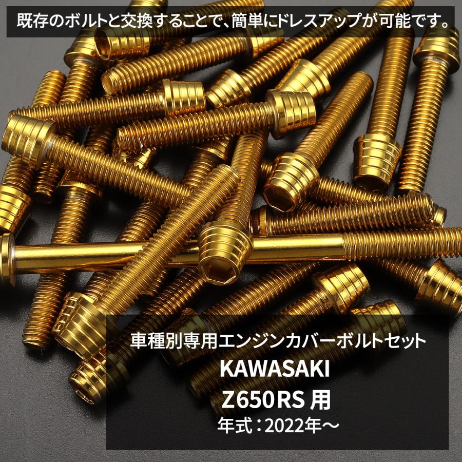 TECHーMASTER（テックマスター） Z650RS エンジンカバー クランク