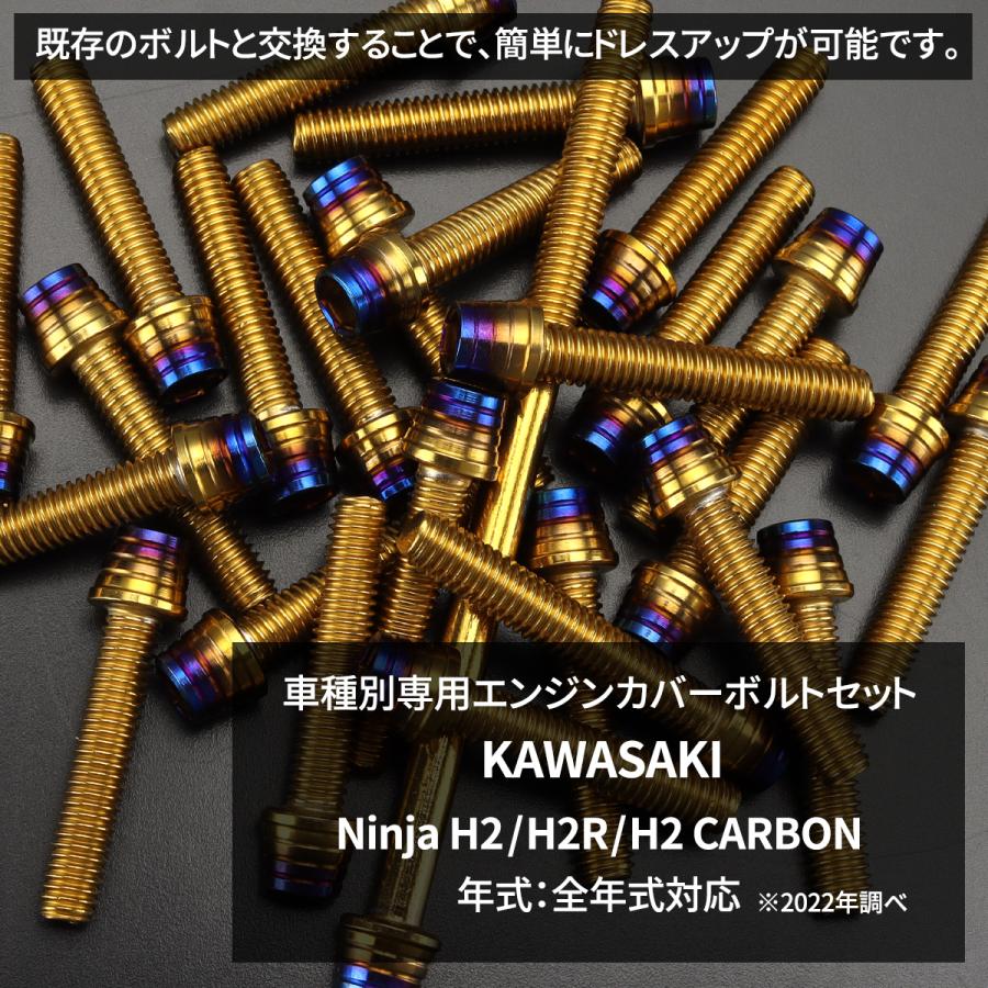 カワサキ Ninja H2/H2R/H2 CARBON エンジンカバー クランク