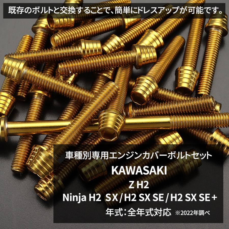 TECHーMASTER（テックマスター） Z H2/Ninja H2 SX/H2 SX SE/H2 SX SE+