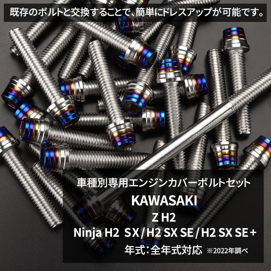 カワサキ Z H2/Ninja H2 SX/H2 SX SE/H2 SE+ エンジンカバー クランク
