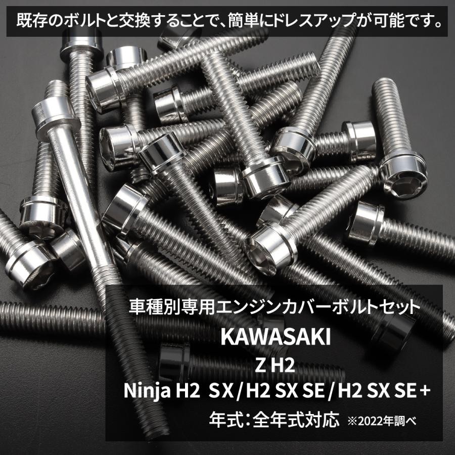 カワサキ Z H2/Ninja H2 SX/H2 SX SE/H2 SE+ エンジンカバー クランク