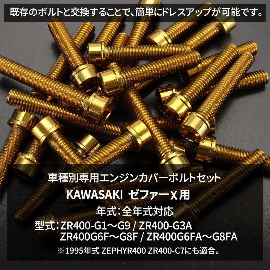 TECHーMASTER（テックマスター） ゼファーχ カイ エンジンカバー