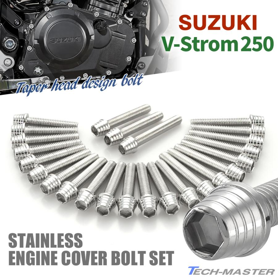 スズキ Vストローム250 V-Strom エンジンカバー クランクケース