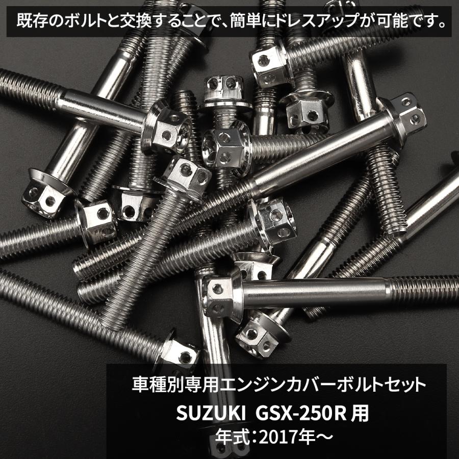 TECHーMASTER（テックマスター） GSX250R エンジンカバー クランク