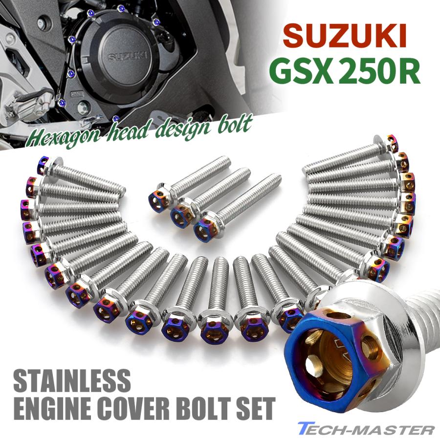 TECHーMASTER（テックマスター） GSX250R エンジンカバー クランク