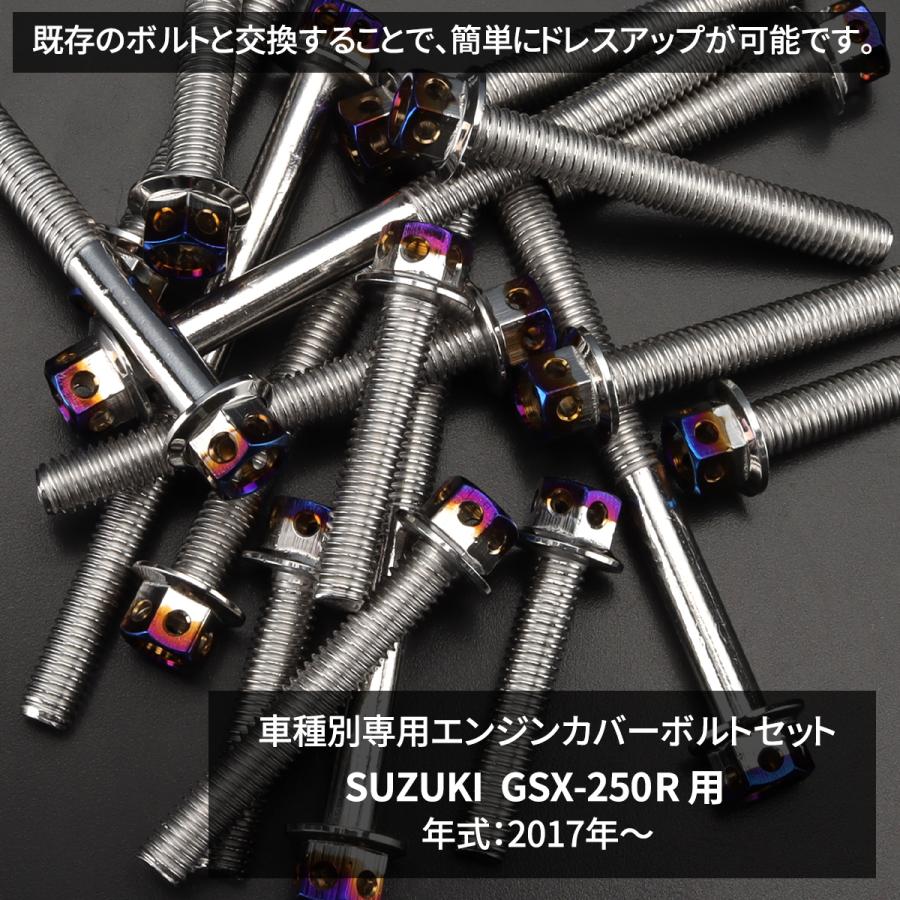 TECHーMASTER（テックマスター） GSX250R エンジンカバー クランク