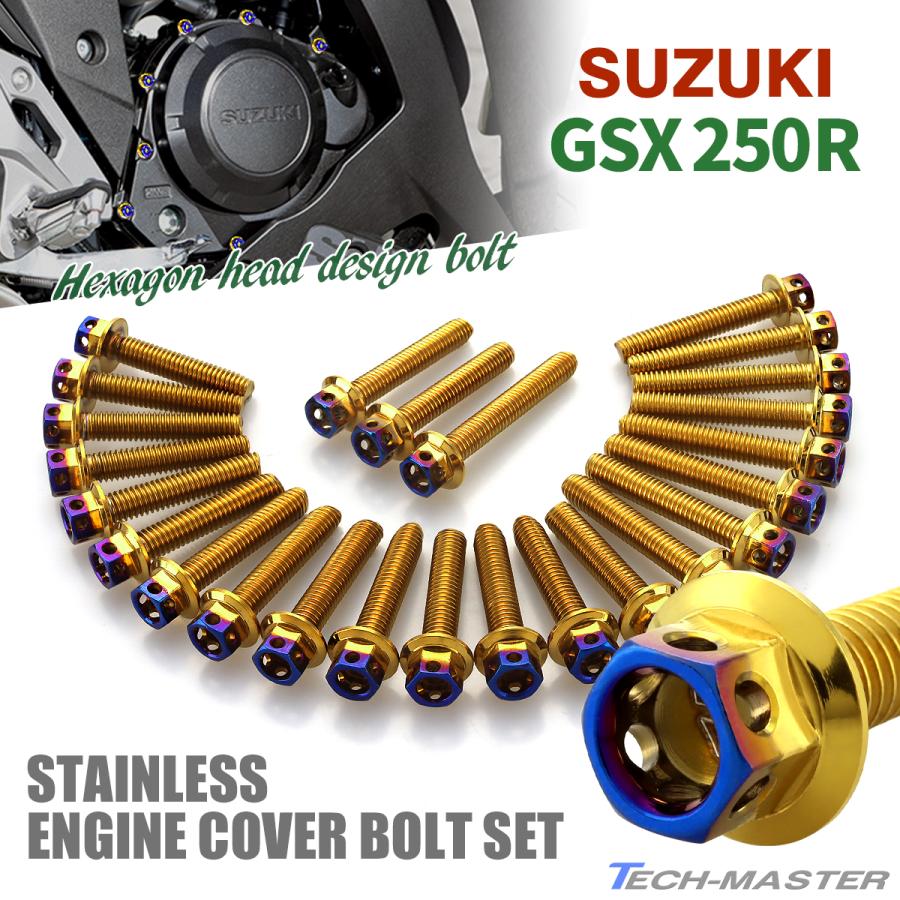 TECHーMASTER（テックマスター） GSX250R エンジンカバー クランク