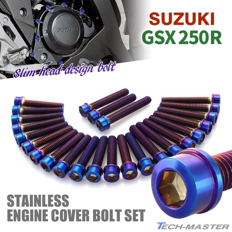 TECHーMASTER（テックマスター） GSX250R エンジンカバー クランク