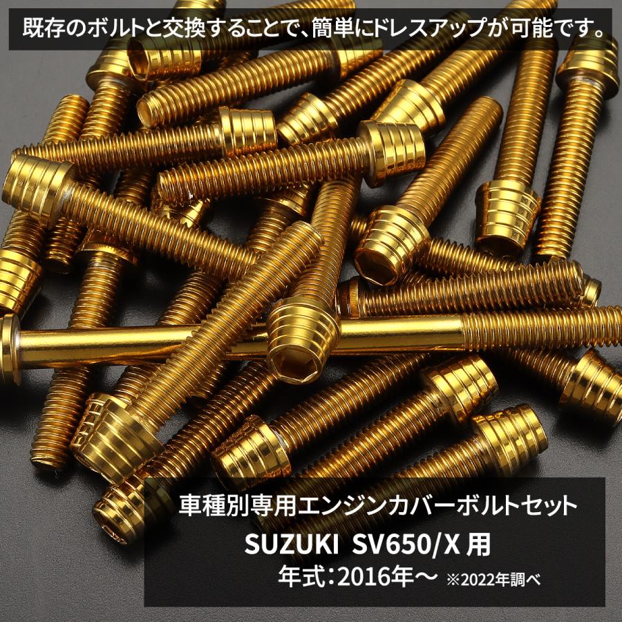 TECHーMASTER（テックマスター） SV650/X エンジンカバー クランク