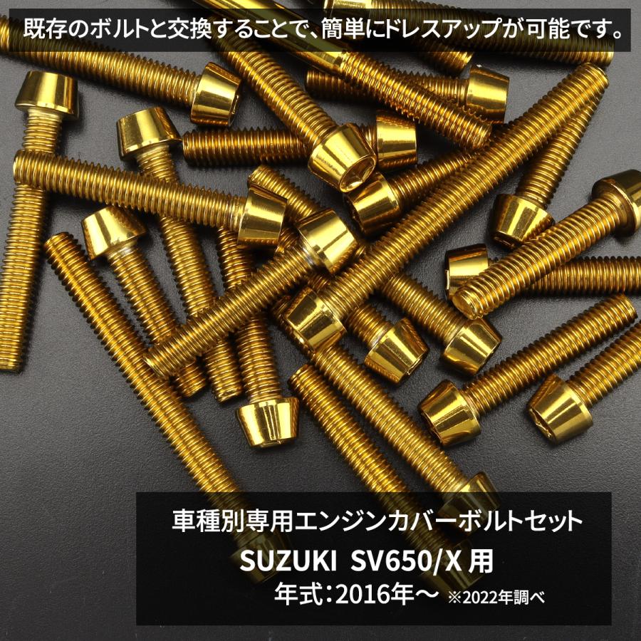 TECHーMASTER（テックマスター） SV650/X エンジンカバー クランク