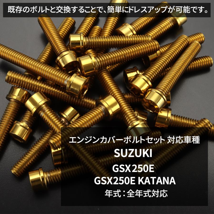 SUZUKI GSX250E クランクケース上下 スズキ [Y-250325-13] TECHーMASTER（テックマスター） GSX250E KATANA エンジンカバー