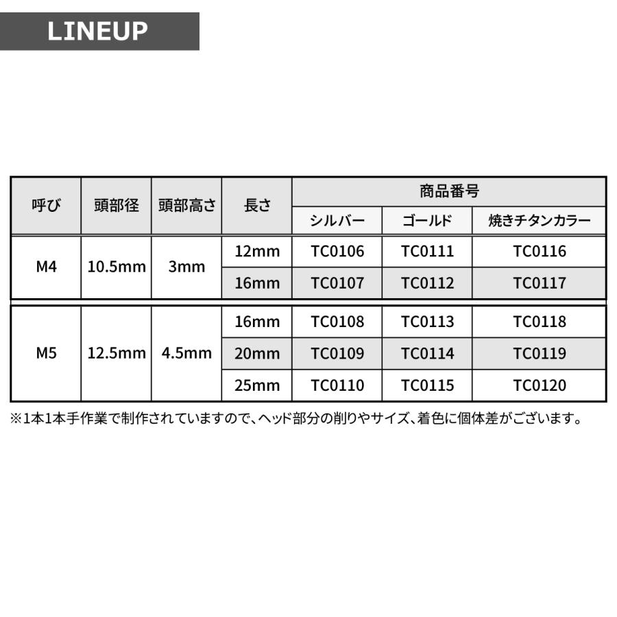 ステンレスネジ M4×12mm タッピングビス 六角穴 ステップホールヘッド シルバーカラー 1個 TC0106｜tmst｜02