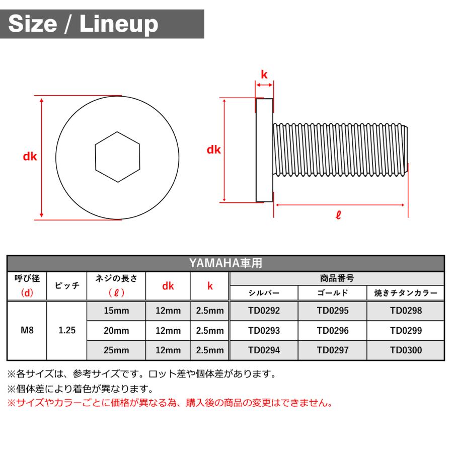 ブレーキディスク ローターボルト M8×25mm P1.25 ヤマハ用 フラットヘッド小 ステンレス シルバーカラー TD0294 | ブランド登録なし | 01