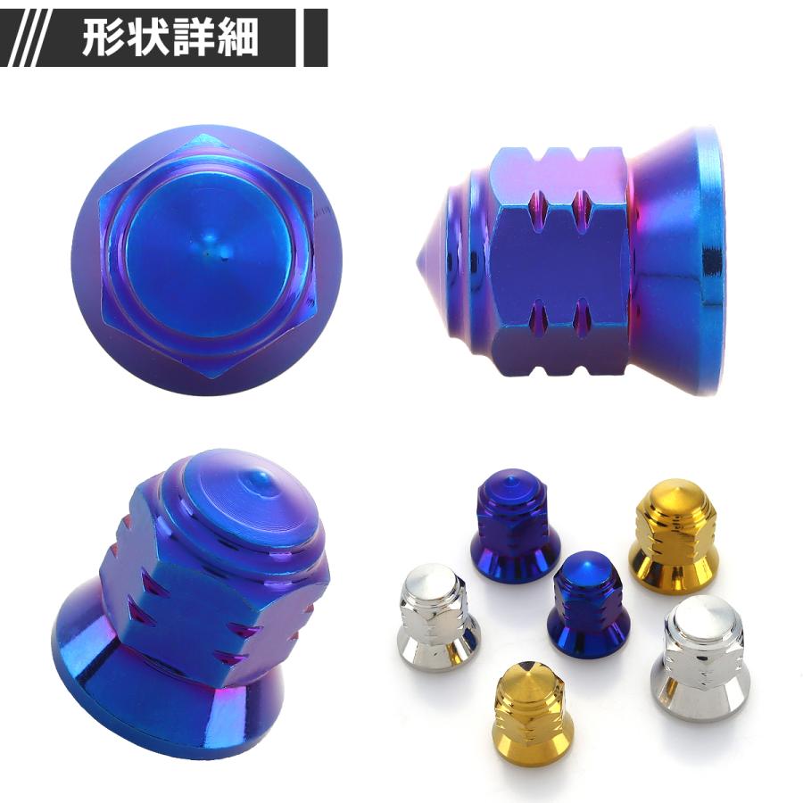 マフラーナット M6 P1.0 SUS304 ステンレス エキゾーストナット ドーム型 焼きチタンカラー 1個 TF0106 | ブランド登録なし | 02