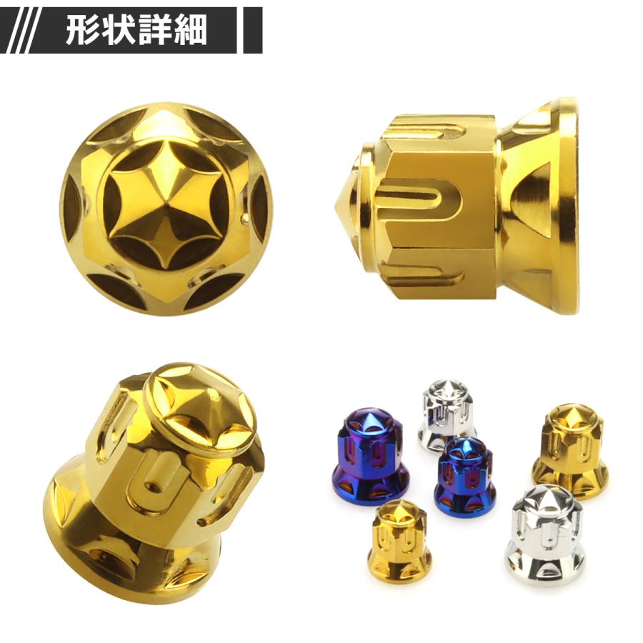 マフラーナット M6 P1.0 SUS304 ステンレス エキゾーストナット ドーム型 ゴールドカラー 1個 TF0167 | ブランド登録なし | 02