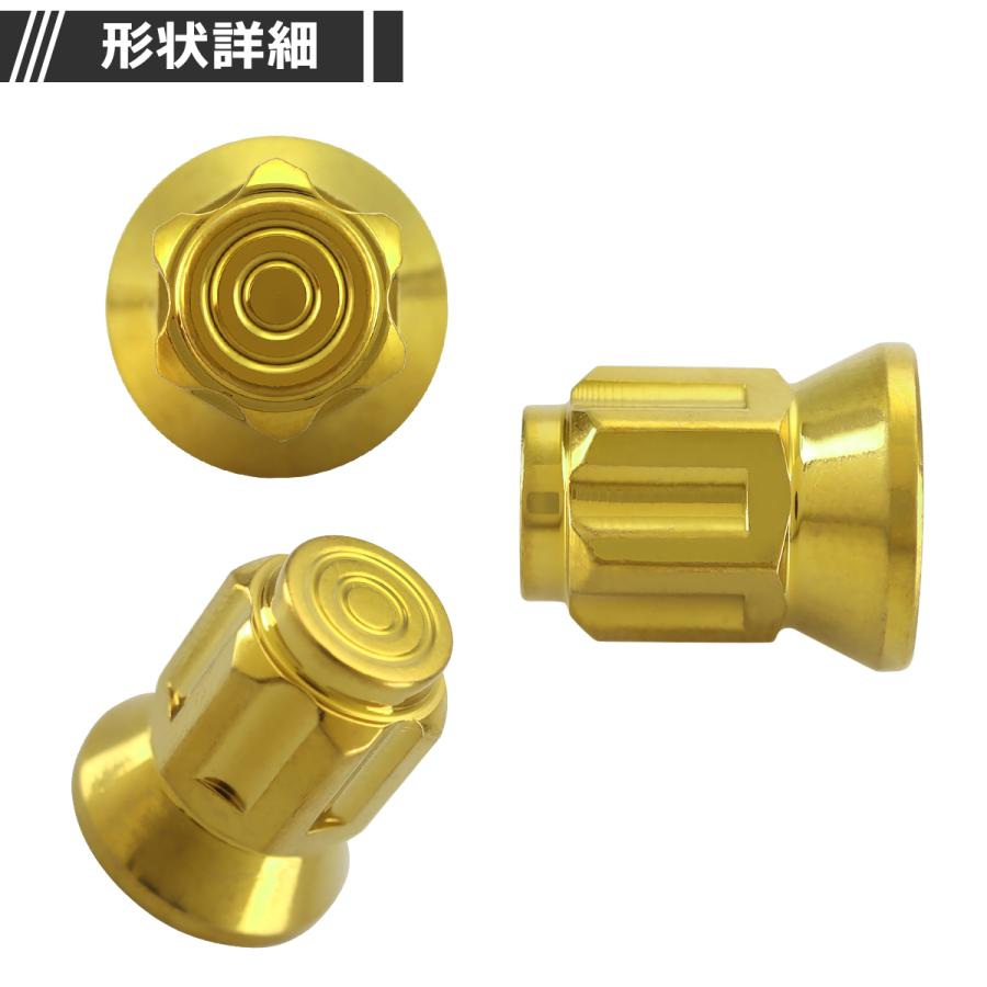 マフラーナット M6 P1.0 SUS304 ステンレス エキゾーストナット ドーム型 ゴールドカラー 1個 TF0248 | ブランド登録なし | 02