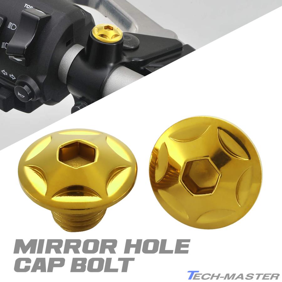 ミラーホールキャップ 正ネジ M10×10mm P1.25 2個セット ホンダ車用
