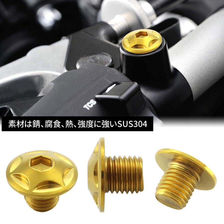 ミラーホールキャップ 正ネジ M10×10mm P1.25 2個セット ホンダ車用