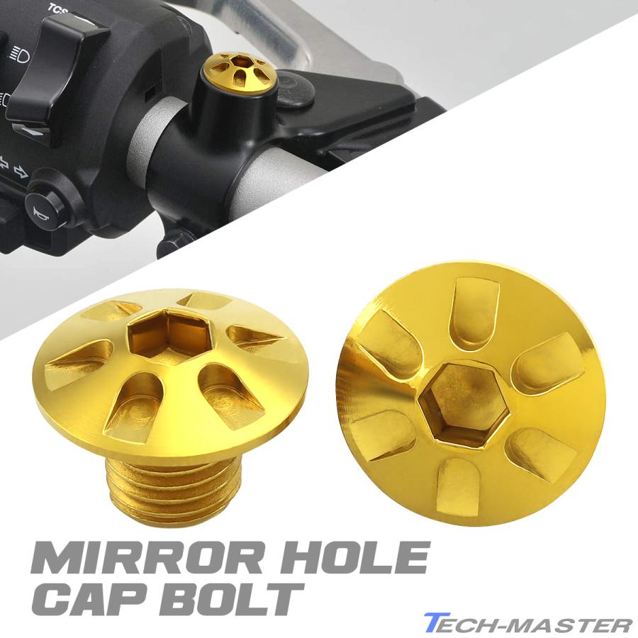 ミラーホールキャップ 正ネジ M10×10mm P1.25 2個セット ホンダ車用